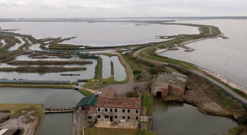 Rosolina Ski Chalet | Lodge Casonetto