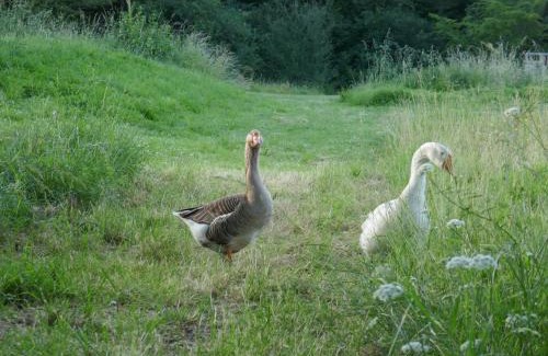 Serignac Other | lodge Crusoé