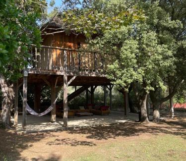 Villevieille Other | Lodge dans les arbres