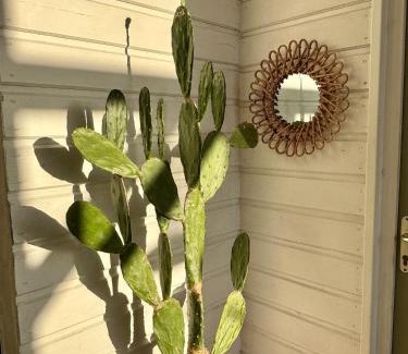 Grand-Bourg House | Lodge Kara