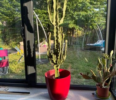 Saint-Pierre-les-Nemours House | LODGE Site escalade