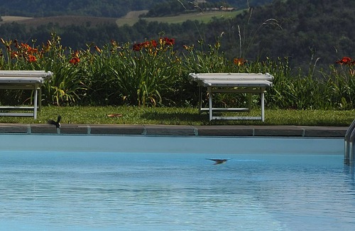 Monzuno House | Lodole Relais