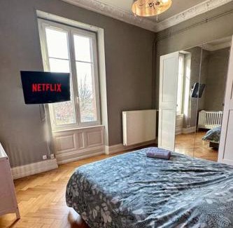 Mulhouse Apartment | Loft avec SPA à Mulhouse avec parking privé 6 personnes