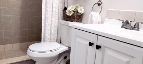 Tampa Apartment | Loft Close to Downtown, Raymond James Stadium, Airport and Many More Places