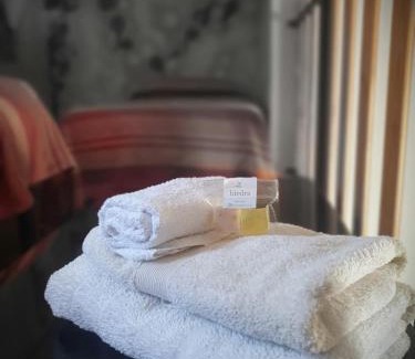 Riolo Terme Apartment | Loft immerso nel bosco