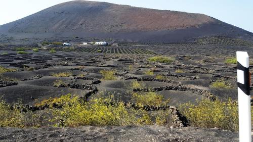 Playa Blanca Apartment | Loft Lucky