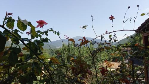 Ferrieres sur Ariege House | Loft rural - terrasse parking et vue