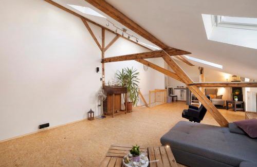 Baden-Baden Apartment | Loft Sven