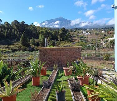 Buen Paso Apartment | Loft Vista al Teide