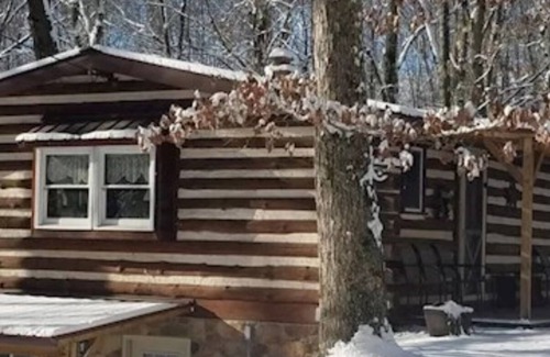 Huntingdon Cabin | Log Cabin in Wooded Area Near Raystown Lake Boat Access