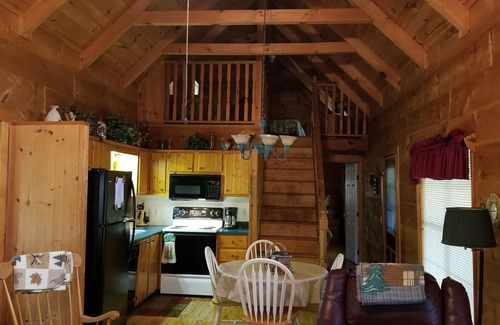 Cedar Mountain Cabin | Log Cabin, Trout Pond on 17 Acres, Near Dupont State Forest, very private