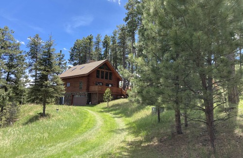 Rapid City Cabin | Log cabin nestled in ponderosa pine - 5 mi between Pactola and Sheridan Lakes