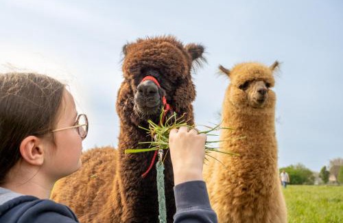 Farbus House | Logements insolites à la ferme - Yourte, Kota ou Pod