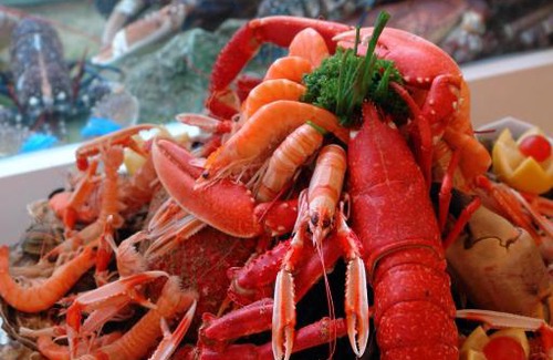 Roscoff Hotel | Logis Hôtel Les Chardons Bleus RESTAURANT LE BISTROT DE LA MER