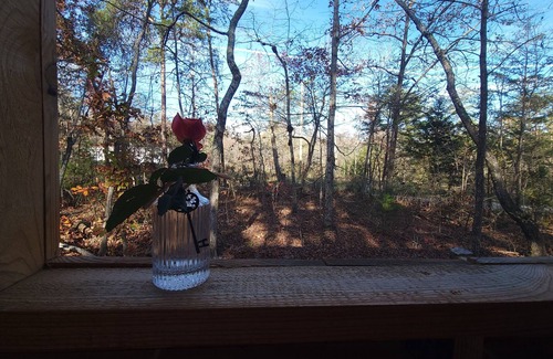 Pikeville Cabin | Loki's Lair - Cozy cabin in serene Pikeville with WiFi access