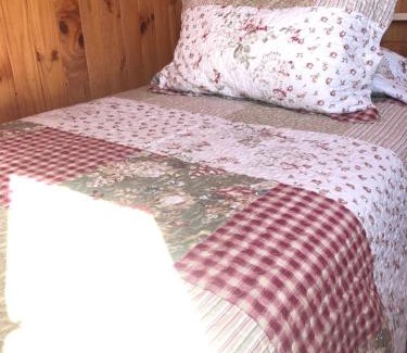 Pichilemu Cabin | Lomita Quebrada