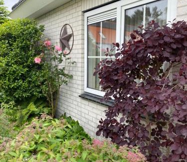 Nieuw-Haamstede Apartment | Lonestar Appartement