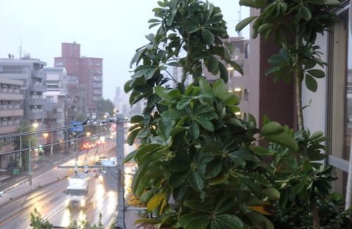 Suginami Apartment | Long term stay at Cycle House Ogikubo