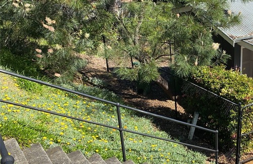 Pretty Beach Cabin | Lookout Lodge at Pretty Beach Heath Lodgers