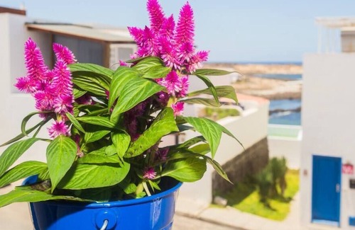 Caleta de Caballo Apartment | Los Alisios Alto Los Alisios Alto