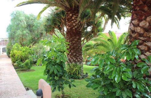 Brena Baja House | Los Balconcitos 51