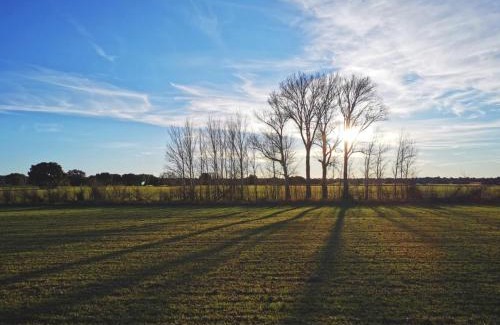 Viveros House | Los Manantiales Casa Rural