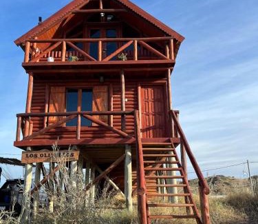 Balneario Pehuen-Co House | Los olivillos
