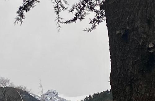 San Martin de los Andes Ski Chalet | Los Robles