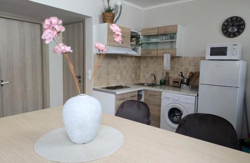 Karpenisi Apartment | Loutraki central studio