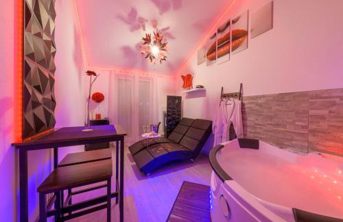 Le Puy-en-Velay Apartment | Love Room - Suite romantique avec spa privatif