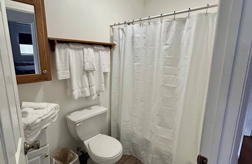 Albany Cabin | Lovely 3-bedroom on beautiful Dale Hollow Lake at Wolf River Resort and Marina.