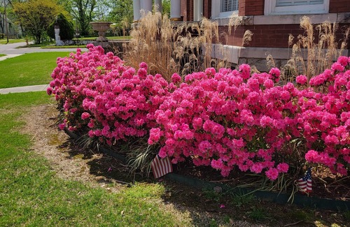 Fort Smith House | lovely historic mansion close to downtown river front walking trail