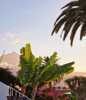 La Victoria de Acentejo Apartment | Lovely La Palmita