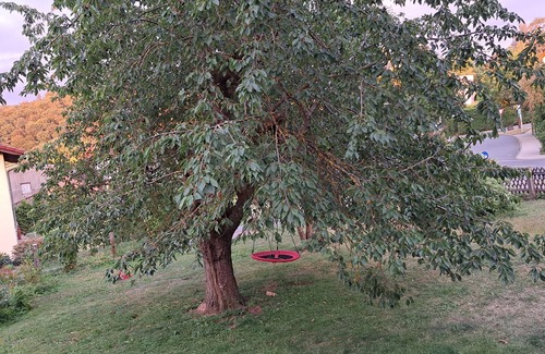 Bad Wildungen Apartment | Lovingly designed vacation apartment that invites you to feel at home.