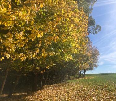 Drzkov Apartment | Lumpovna wellness apartmán