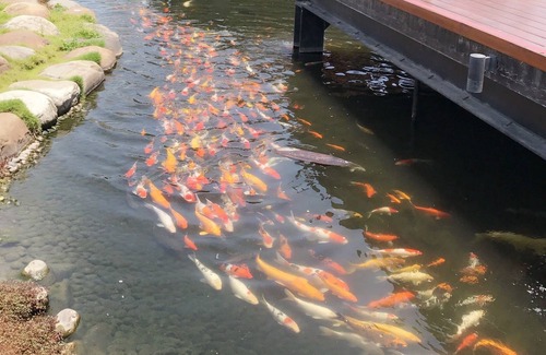 Wujie House | Luoyuxuan