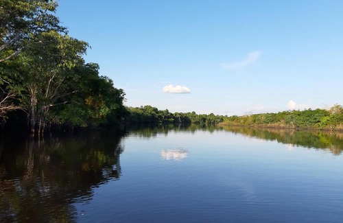 Indiana Other | lupuna jungle tours and expeditions