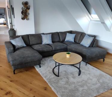 Kaisermuhlen Apartment | Luxuriöses Penthouse mit Blick auf die UNO-City und dem Kaiserwasser. 3Schlafzimmer, 2 Bäder, privat Lift ins Apartment