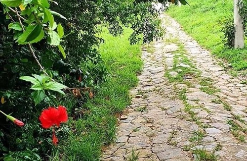 Manguinhos Villa | Luxurious mansion on 11,000 m2 estate with lake and trails.