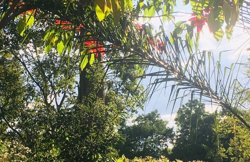 Harare House | Luxury 4 bed Hilltop Glen Lorne home