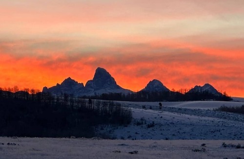 Felt Cabin | Luxury Cabin w/Hottub & Views