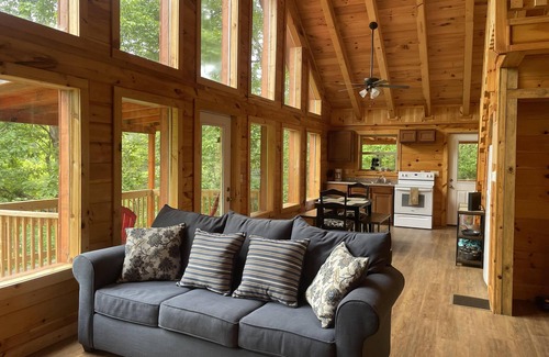 Stanton Cabin | Luxury cabin with a "mountain view" with a hot tub and internet