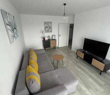 Tirgu Mures Apartment | Luxury & Cozy Apartment - Maurer Residence Tg-Mureș