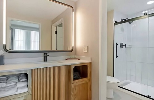 Downtown Tampa Hotel | Luxury & Downtown Excitement! Free Shuttle Service, Pets Allowed