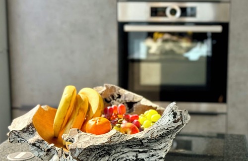 Werder Boat Rental | Luxury Floating Home Shanti 2 with fireplace & lakeside sauna