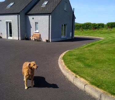 Ballycastle Apartment | luxury