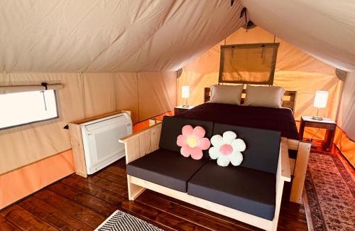 Newport Other | Luxury Glamping Near Gatlinburg and Asheville