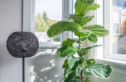 New Westminster House | Luxury house with 3 bedrooms and 1 office