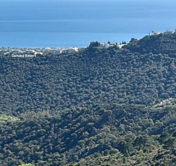 Marbella Apartment | Luxury Penthouse for lifelong memories