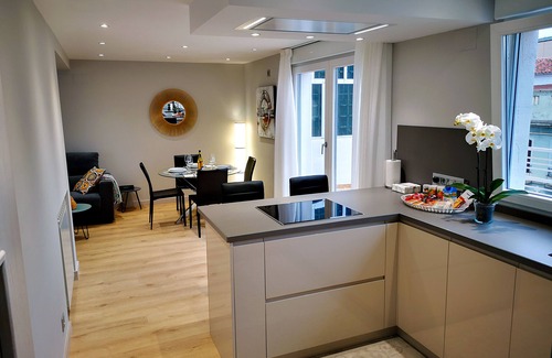 Leon City Centre Condo | Luxury penthouse with huge terrace in the center of León - leonapartamentos